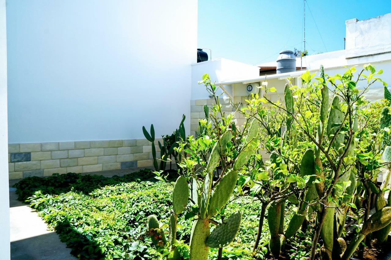 טורה לפילו Fronte Mare In Centro Covered Parking מראה חיצוני תמונה